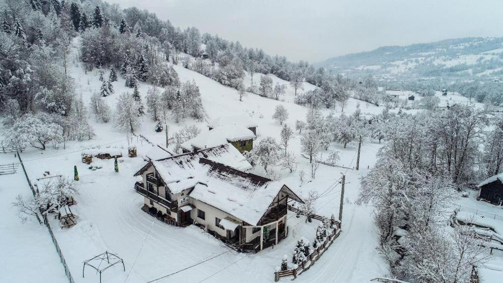 Lacrima Izei Vila Săcel Exterior foto